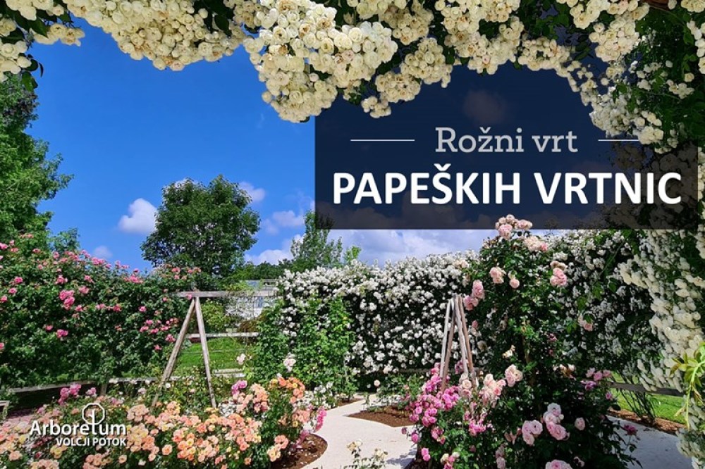 ARBORETUM VOL JI POTOK ARBORETUM VOL JI POTOK